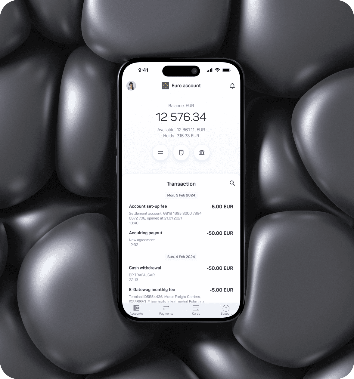 Portfolio case image